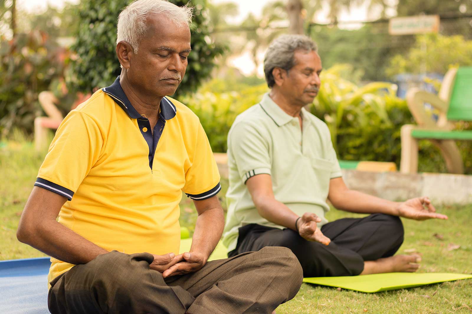 lakeside gardens seniors doing yoga for mental emotional well being